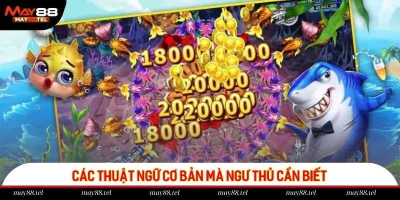 Các thuật ngữ cơ bản mà ngư thủ cần biết