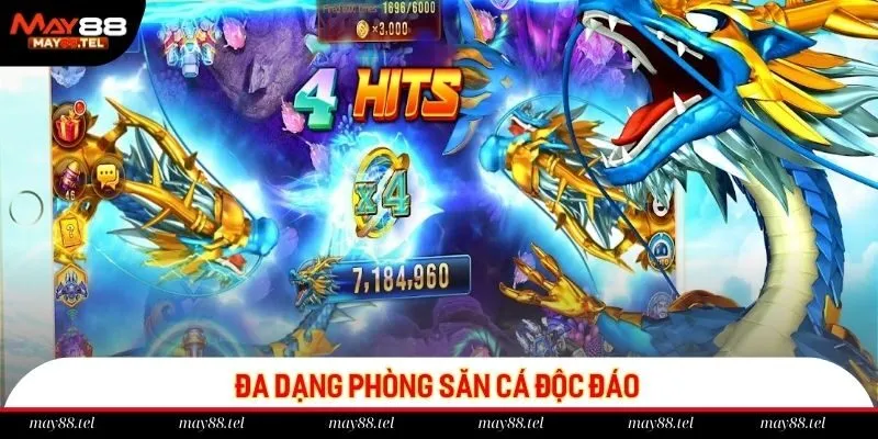 Đa dạng phòng săn cá độc đáo