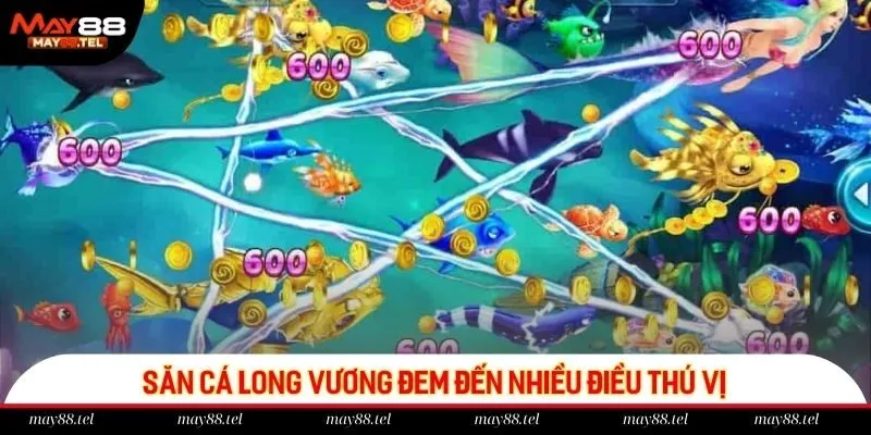 Săn cá Long Vương đem đến nhiều điều thú vị