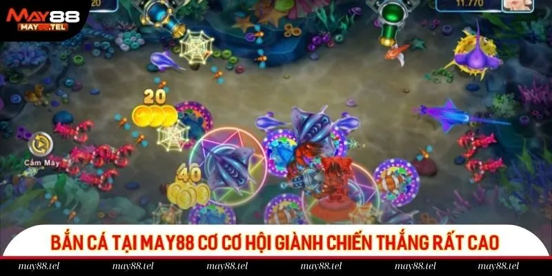 Bắn cá tại May88 cơ cơ hội giành chiến thắng rất cao