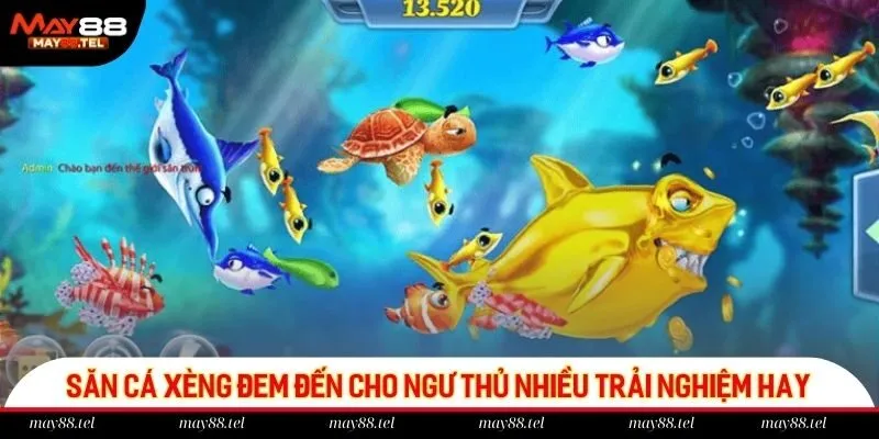 Săn cá xèng đem đến cho ngư thủ nhiều trải nghiệm hay