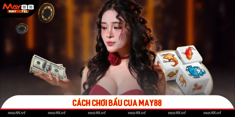 Cách chơi Bầu Cua May88