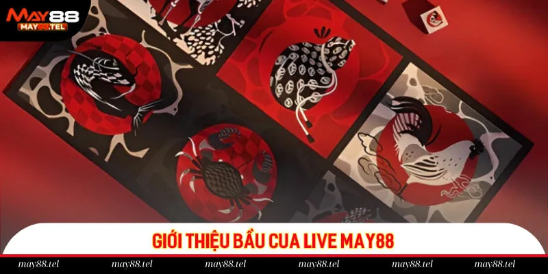 Giới thiệu Bầu Cua live May88