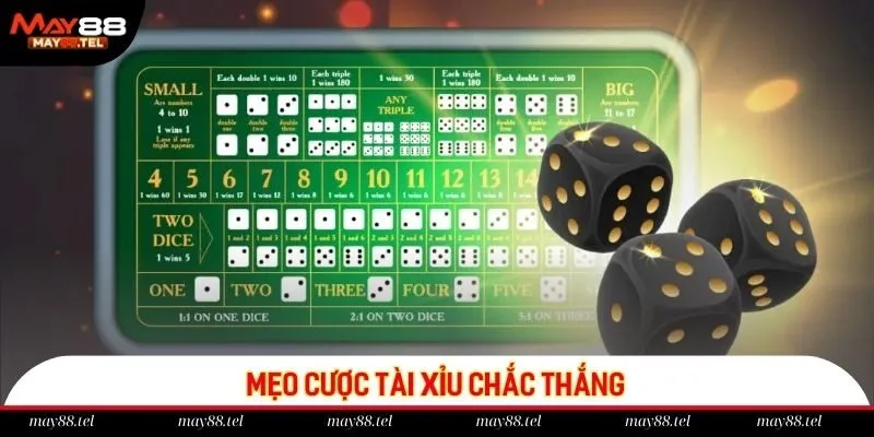 Tổng hợp các cách chơi tài xỉu chắc thắng của chuyên gia
