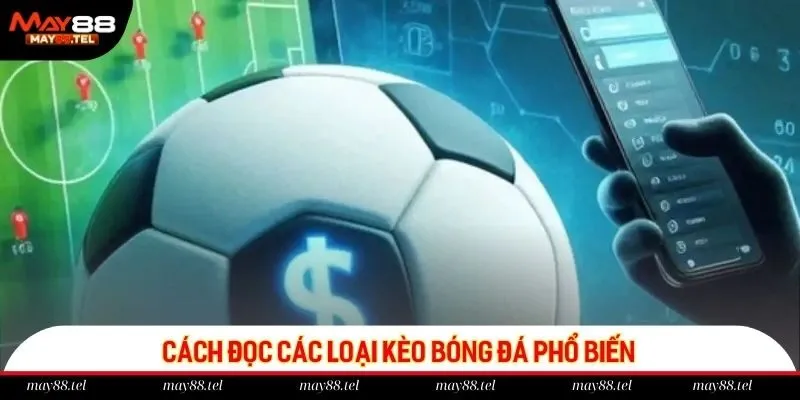 Chi tiết cách đọc các loại kèo bóng đá phổ biến tại May88