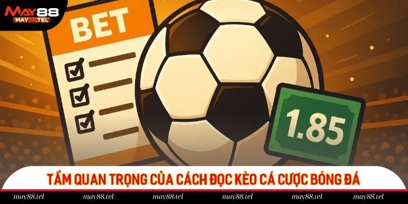 Ý nghĩa của cách đọc kèo cá cược bóng đá chuẩn xác