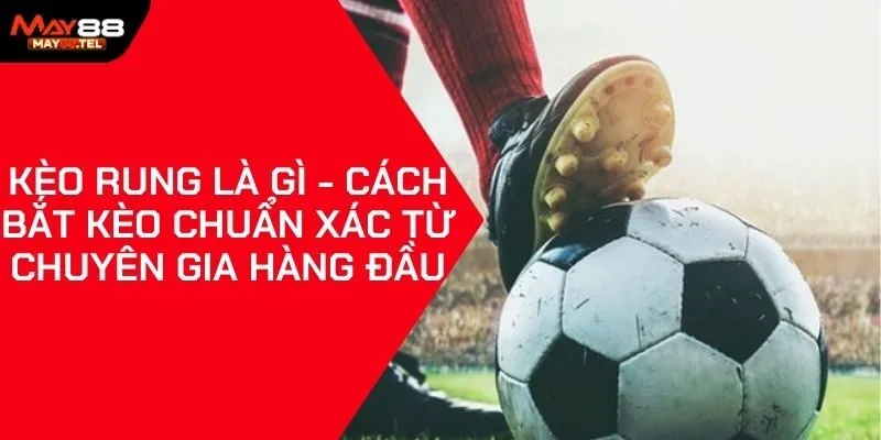 Kèo Rung Là Gì - Cách Bắt Kèo Chuẩn Xác Từ Chuyên Gia Hàng Đầu