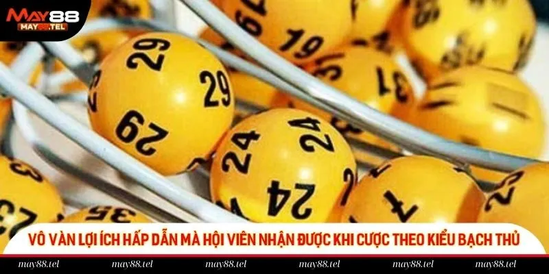 Vô vàn lợi ích hấp dẫn mà hội viên nhận được khi cược theo kiểu bạch thủ