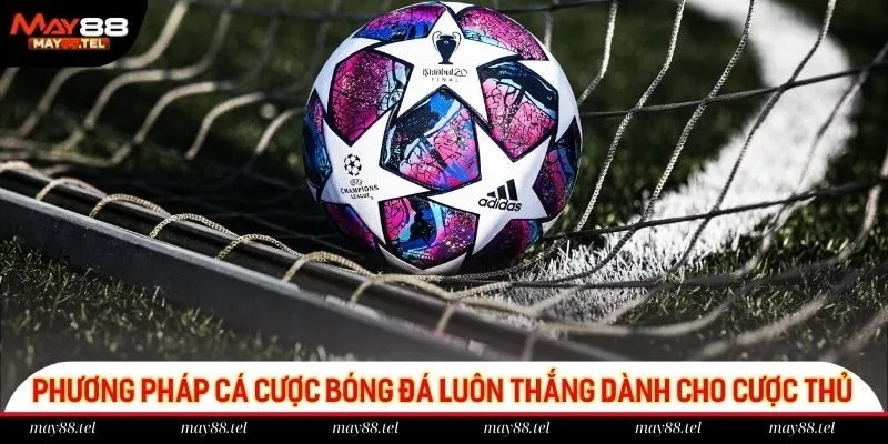 Phương pháp cá cược bóng đá luôn thắng dành cho cược thủ