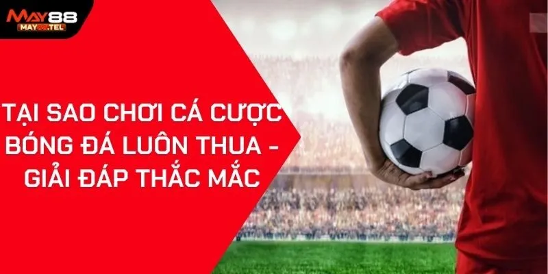 Tại Sao Chơi Cá Cược Bóng Đá Luôn Thua - Giải Đáp Thắc Mắc