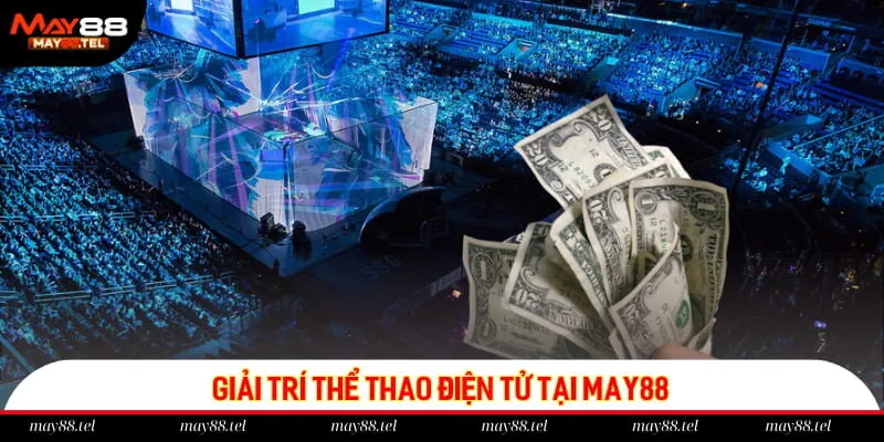 Giải trí thể thao điện tử tại May88